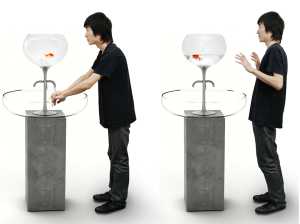 figure-1-poor-little-fish.jpg Poor Little Fish Basin