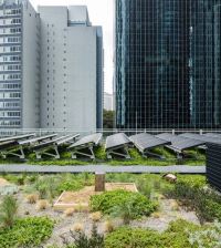 Daramu House by Tzannes (Image: Brett Boardman) Traditional land owners: The Gadigal People of the Eora Nation
