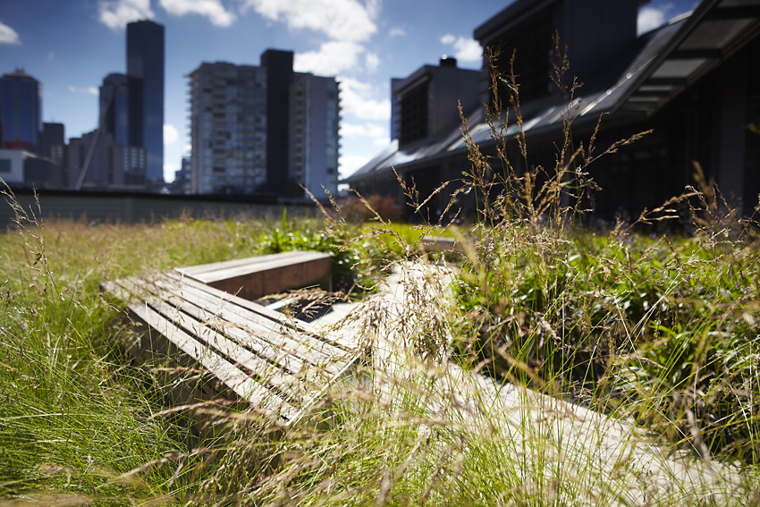 Green roofs for energy efficiency